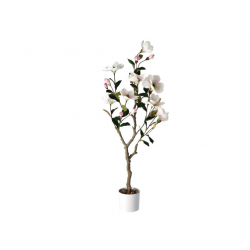 Magnolie in vaso per decorazione cm diametro 16,5h.125 nuovo art.74890 consegna  gratuita
