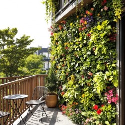 Guida Completa al Giardino Verticale (Ebook PDF)  Prodotto Digitale  Offerte mobili 4,90 € 4,90 € 4,90 € 4,90 €