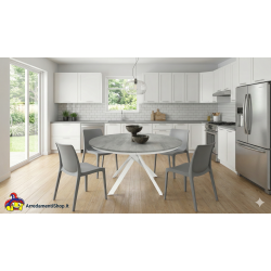 Sedie moderne grigie set 4 pezzi cm 48x48h.84 nuove art.2082 consegna gratuita-arredamentishop.it  Tempesta Offerte mobili 13...